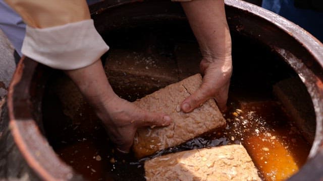 Detailed Texture of Fermented Soybean Lump