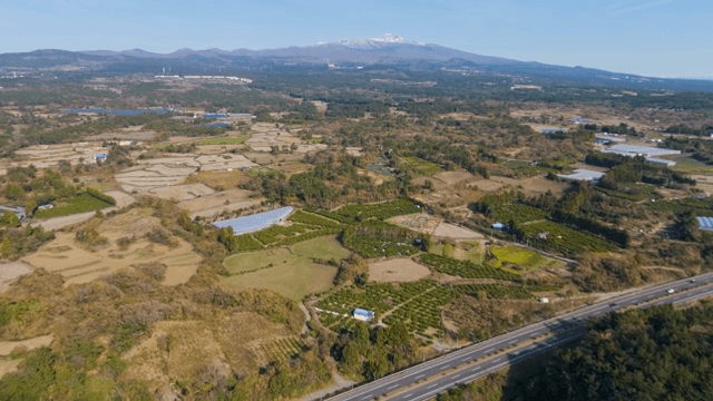 멀리 산이 보이는 넓은 농경지