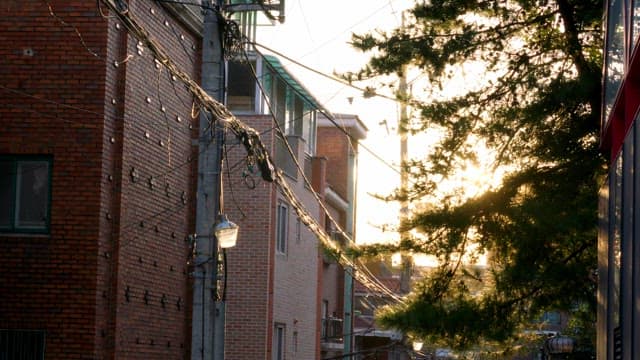 Sunset filtering through urban alley