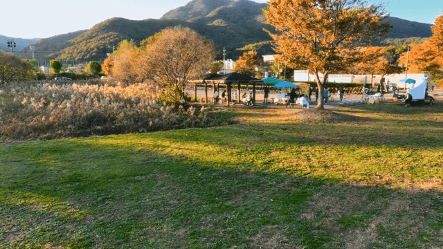 가을 풍경을 즐기는 사람들이 있는 경치 좋은 공원