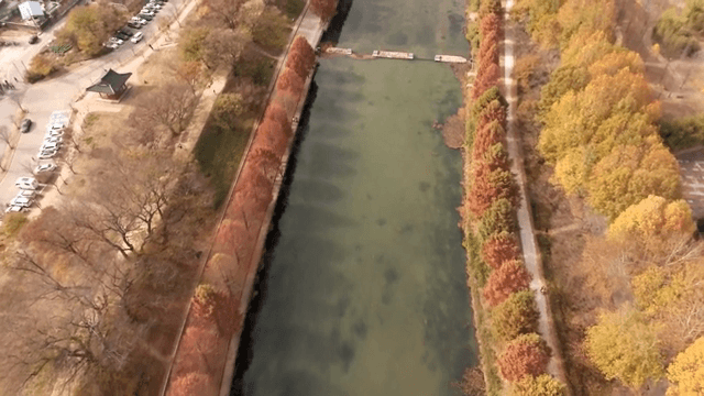 Scenic river with autumn trees