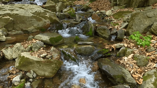 바위 위로 흐르는 작은 시냇물
