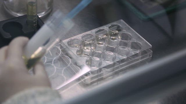 실험실에서 피펫을 사용하는 과학자