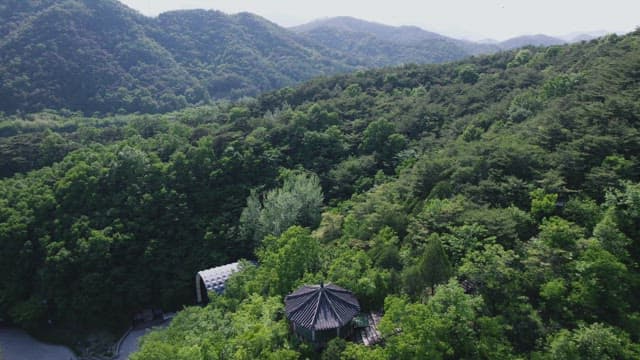 푸른 나무들이 우거진 산악 지대