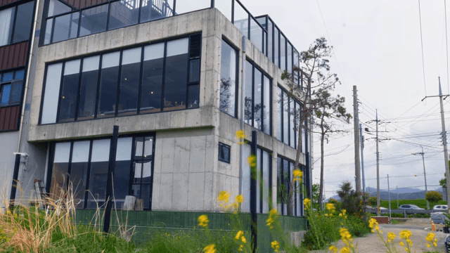 유리창이 있는 현대적인 건물과 식물