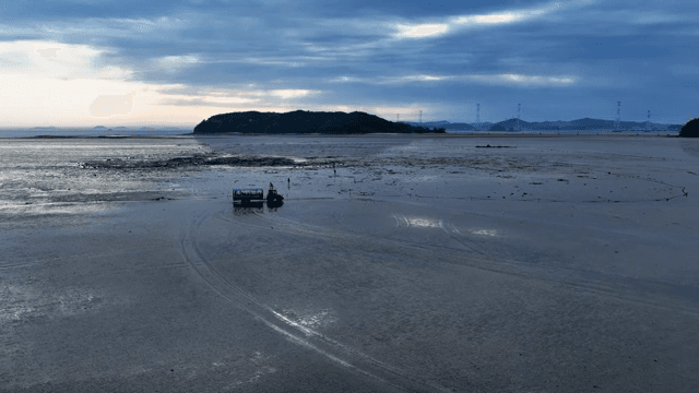 넓은 갯벌 위의 관광버스