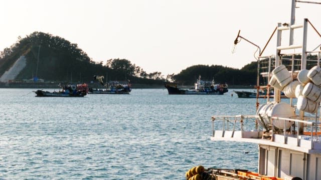 Several fishing boats on the sea with the silhouette of a hill in the background