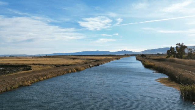 들판을 흐르는 고요한 강