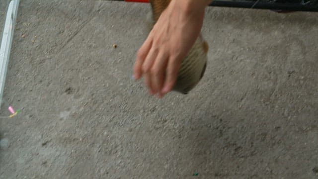 낚싯대로 잡은 물고기를 들어올리는 사람