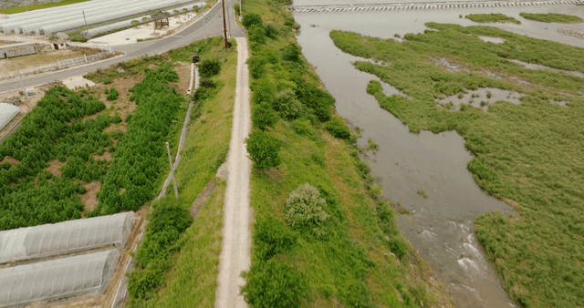 Aerial view of green farmland and river