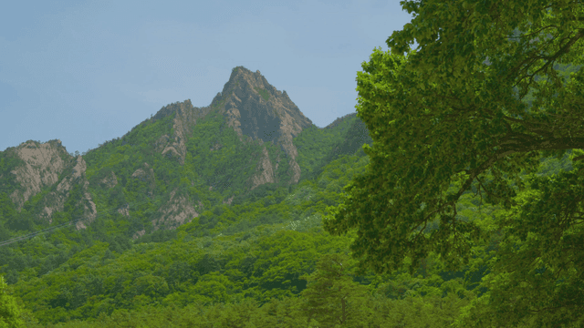 맑은 하늘 아래 푸른 산