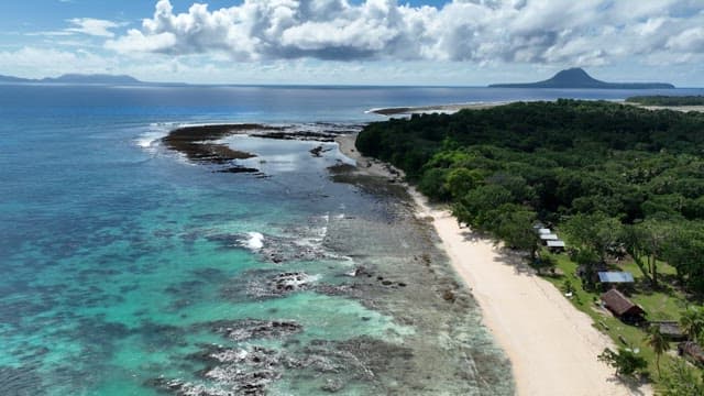 Vast and green tropical rainforest with palm trees on an island surrounded by blue sea