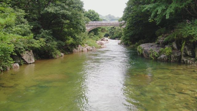 Tranquil river flowing under a bridge