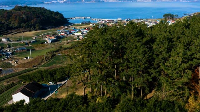 산과 바다가 어우러진 해안 마을 풍경