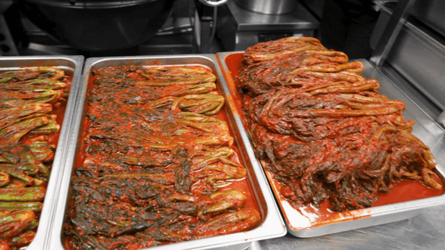 Tray filled with fresh gatgimchi on kitchen counter