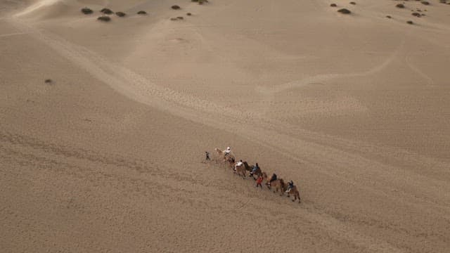 Camels and people crossing a vast desert