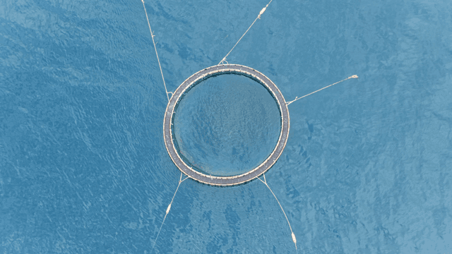 바다 한가운데의 양식장