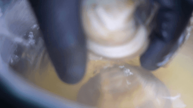 Clams in pot of broth