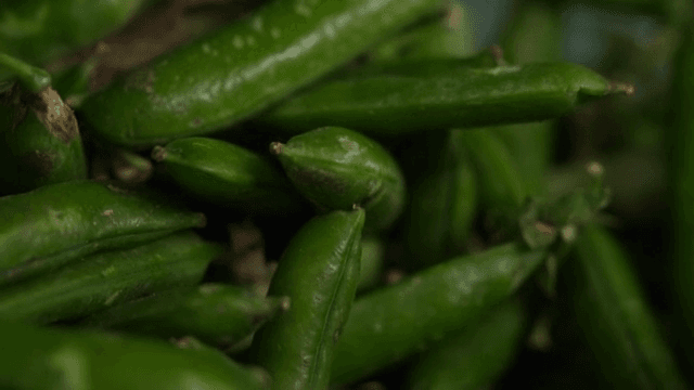 신선한 녹색 고추 더미