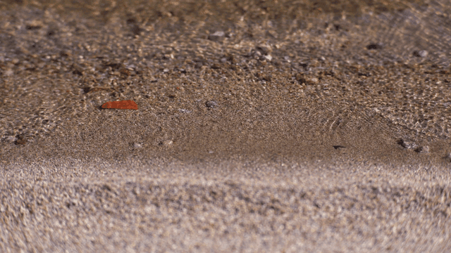 잔잔한 물결이 이는 모래 표면