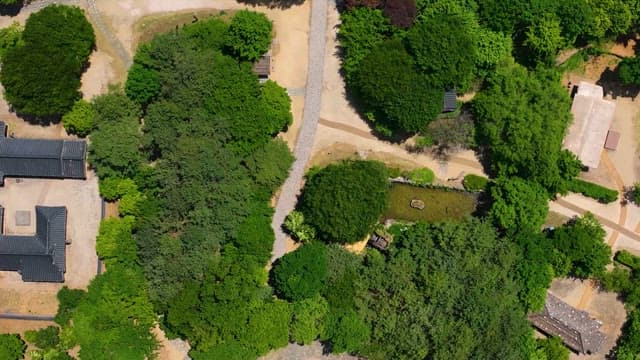 평화로운 정원 길의 항공 전망