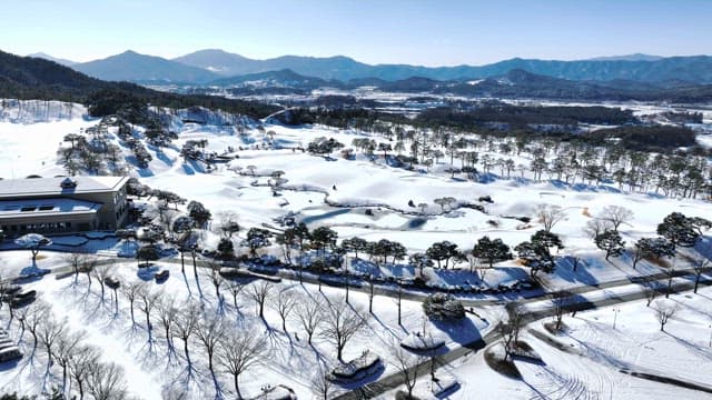 Serene snow-covered landscape with trees