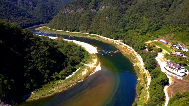 Meandering river through a lush forest valley on a sunny day