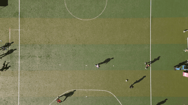 People enjoying soccer match on clear day