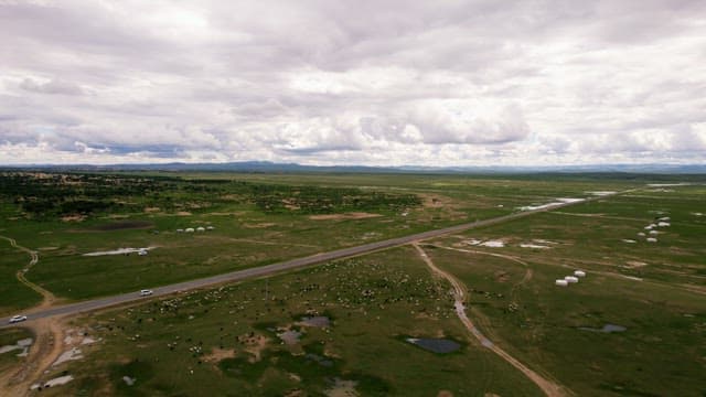 Road Crossing a Pasture where Livestock Are Grazed