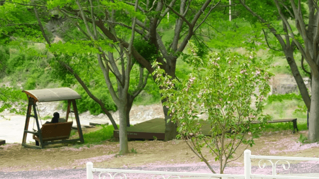 공원에서 그네에 앉아 있는 커플