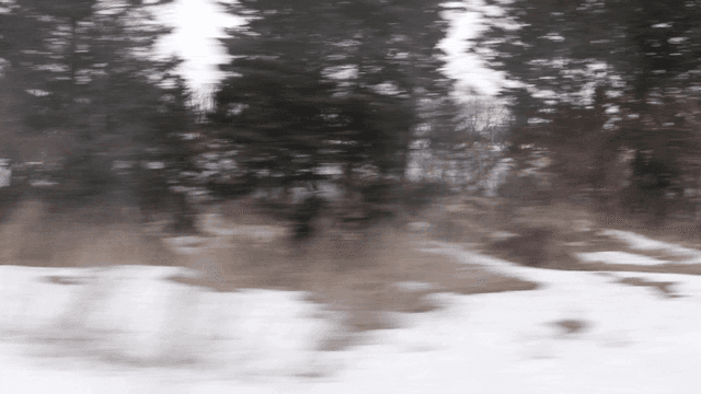 Snow-covered landscape with trees and fields