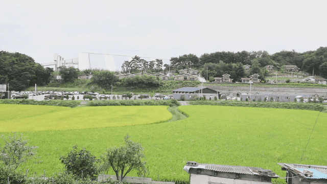 Rural landscape with fields and houses