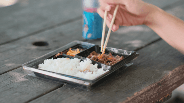 야외에서 도시락을 먹는 모습