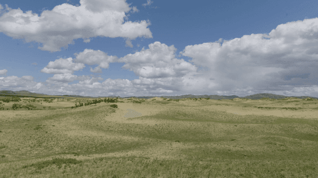 Vast grassland landscape under blue sky