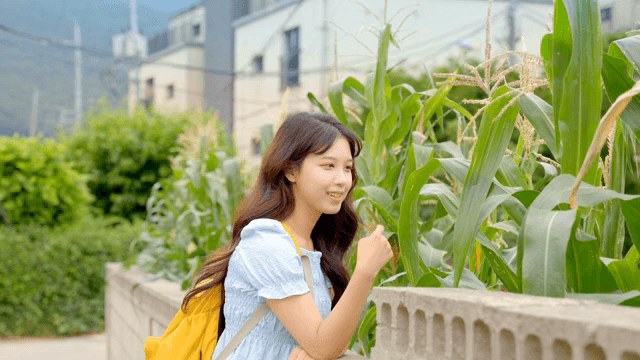 옥수수 식물을 관찰하는 젊은 여성