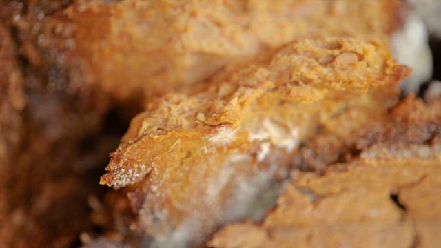 콩으로 만든 메주의 자세한 질감