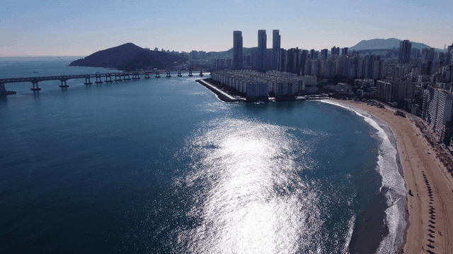 다리와 고층 건물이 있는 해안 도시