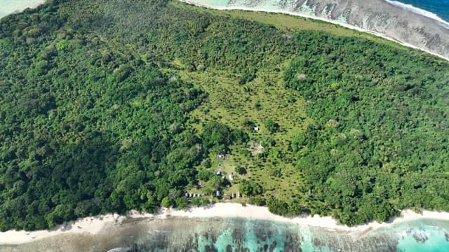 Lush forest on an island surrounded by clear blue sea