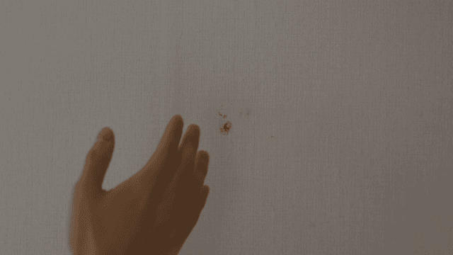 손으로 모기를 잡아 피가 묻은 벽