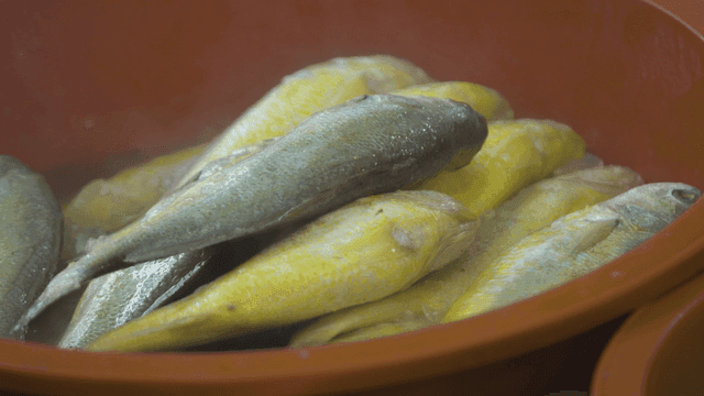 Yellow croaker in red basin