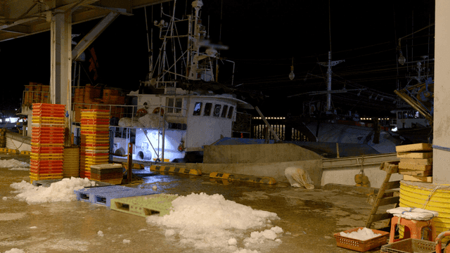 Fishing boats docked at night with ice