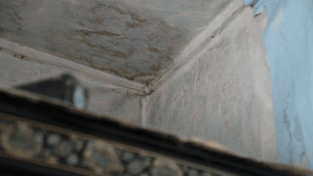 Ceiling corner with moldy water stains