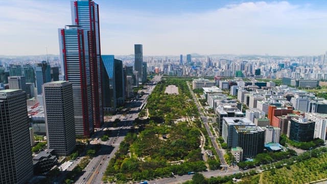 Urban Park Surrounded by a Forest of Buildings