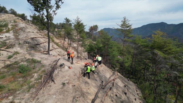 산속에서 황량한 비탈길을 복원하는 작업자들