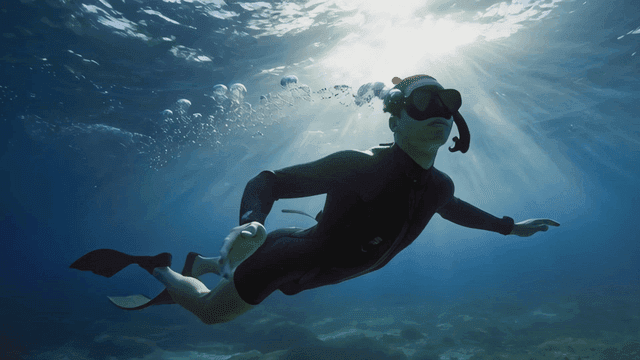 햇빛 아래 물속에서 수영하는 다이버