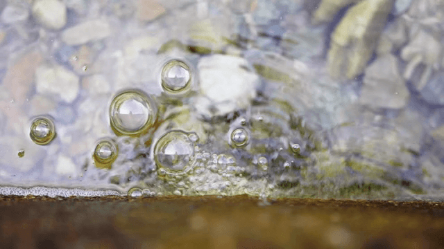 물 표면에 생기는 거품