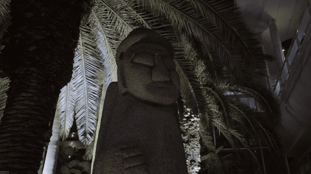 밤에 야자수 아래 돌 조각상