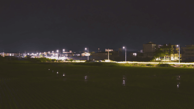 가로등이 있는 밤의 논 풍경