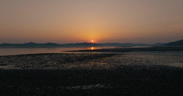 Serene Sunset over Beach Revealed by Low Tide