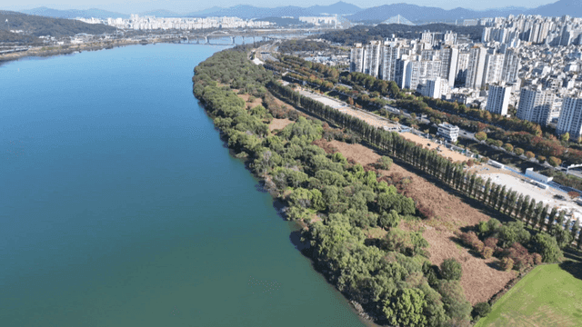 River and city skyline with greenery